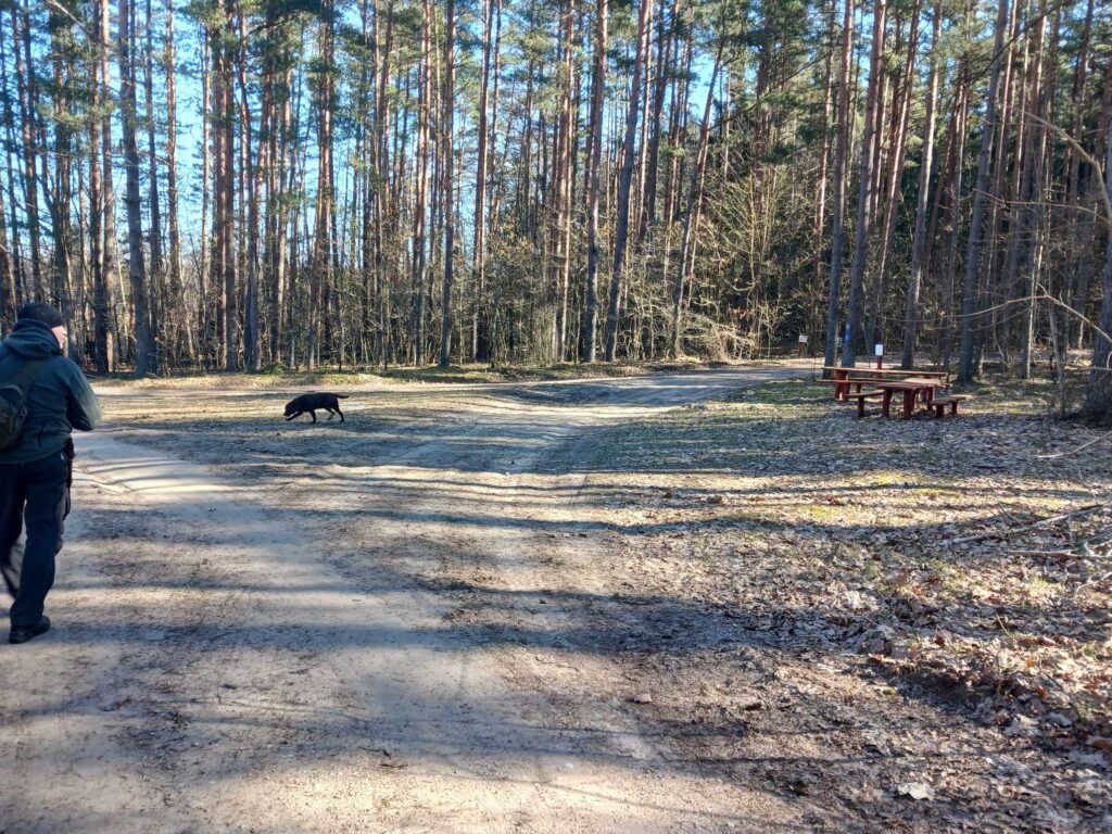 Poilsiaviete prie Asvos