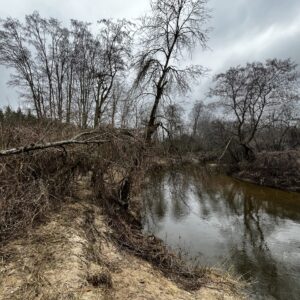 Laukinis krantas_Ardo kopa