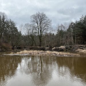 Sala. Rudens potvynis.