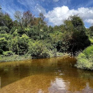 Ašva - vasara - kitas krantas