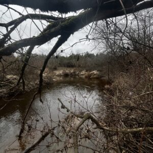 Ašva nuo kito kranto