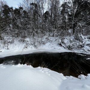 Vanago vingis. Žiema 2026