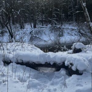 Bebrų takas. Žiema